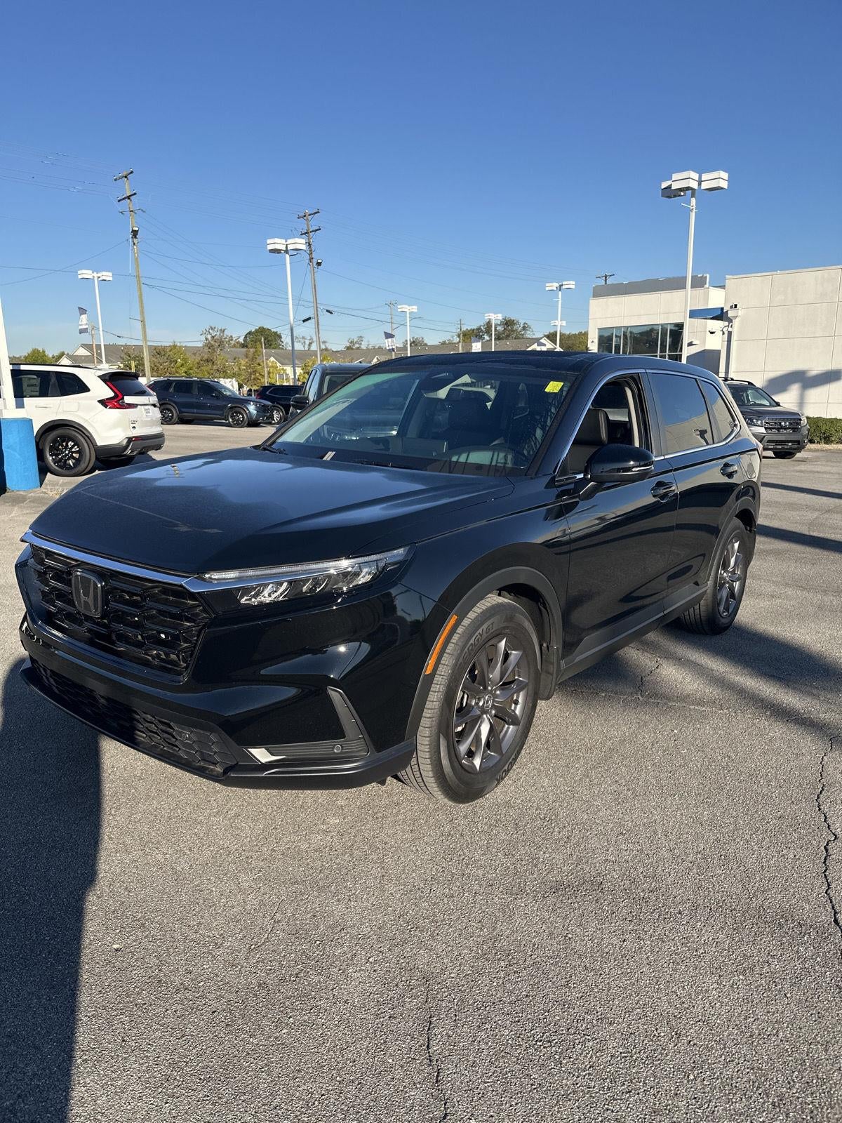 2026 Honda CRV EXL