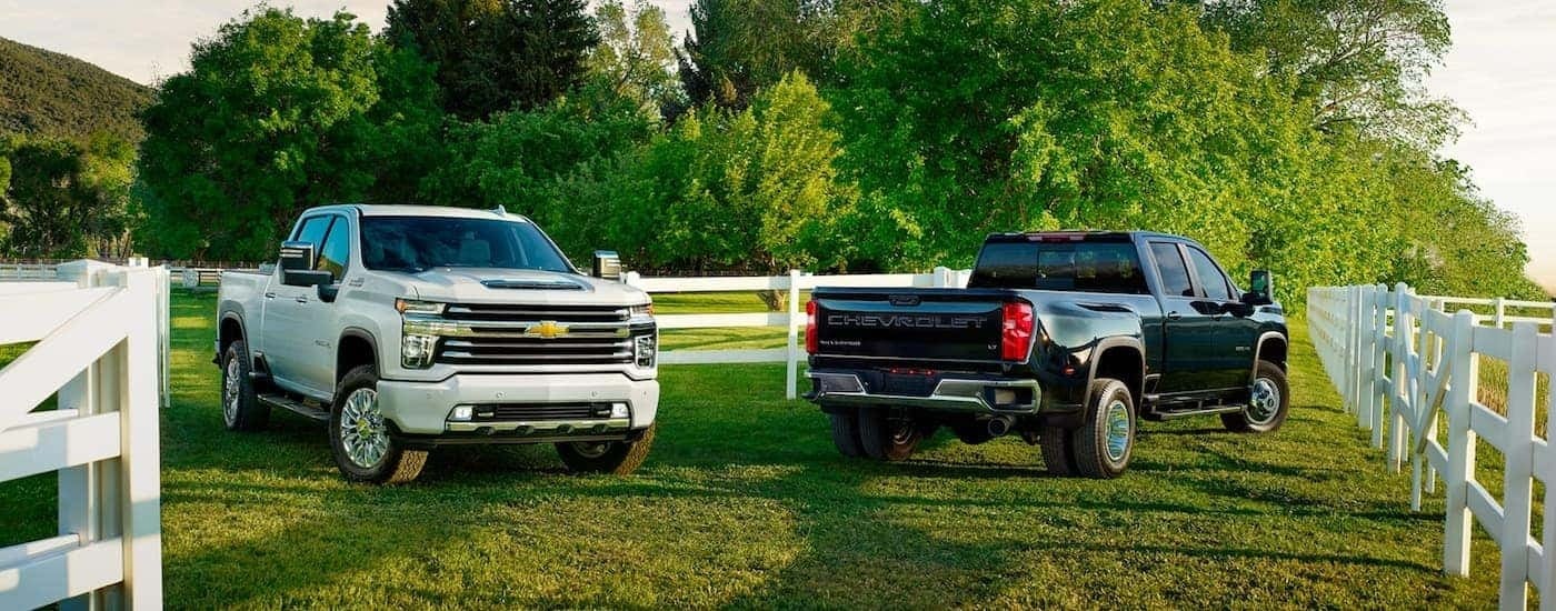 A white and a black 2020 Chevy Silverado HD for sale parked on grass