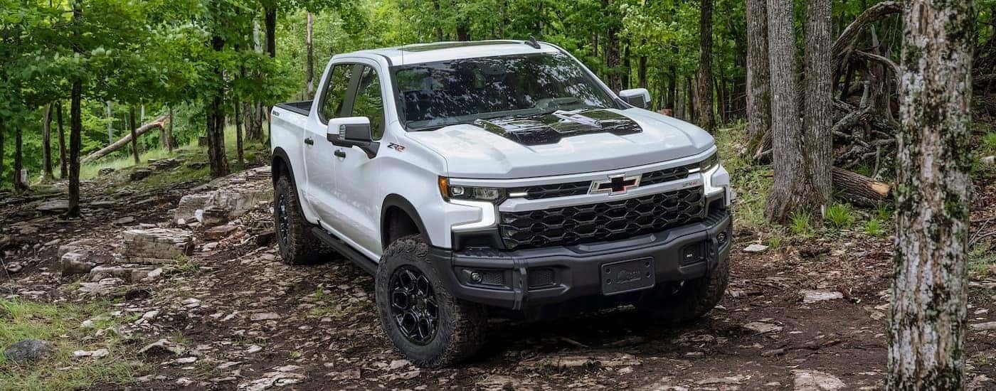 A white 2023 Chevy Silverado 1500 ZR2 Bison is shown off-roading on a wooded trail.