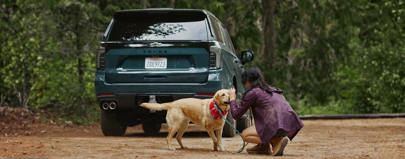 Person playing with a dog near a green 2026 Chevy Tahoe Z71 
